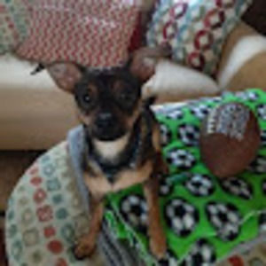 Meet your Posher, West